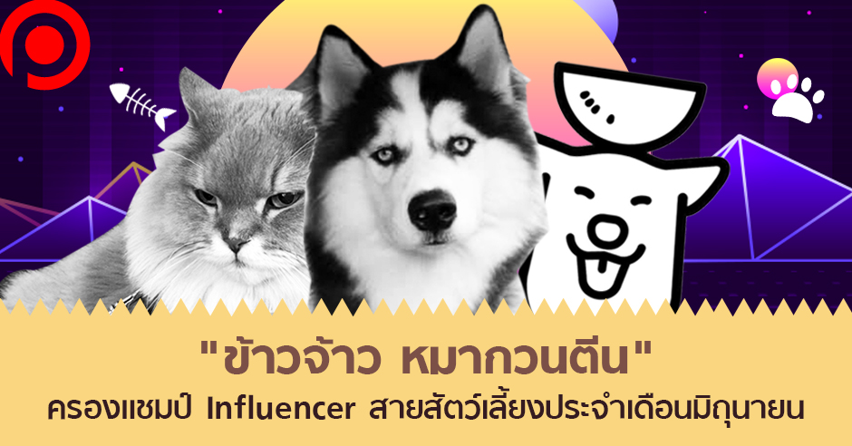 InfluencerJune
