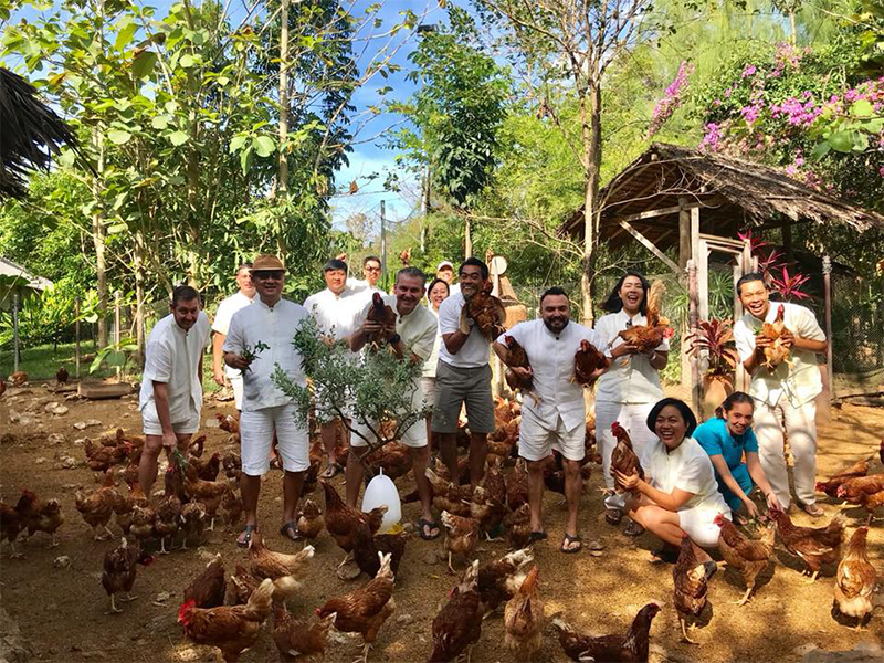 chicken-farm-six-senses-yao-noi