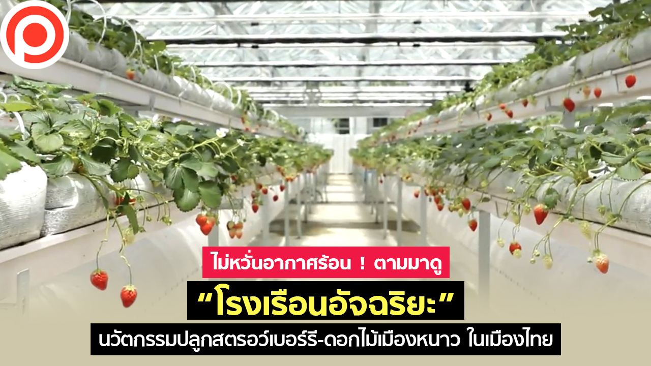 โรงเรือนอัจฉริยะ