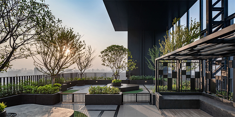 เมทริส-rooftop