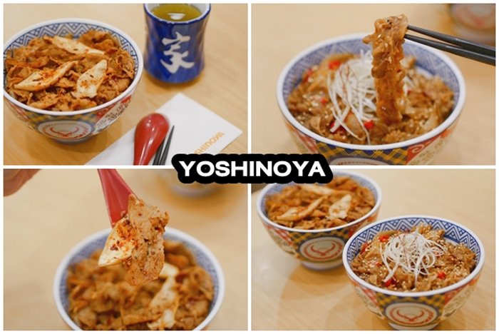 4.Yoshino