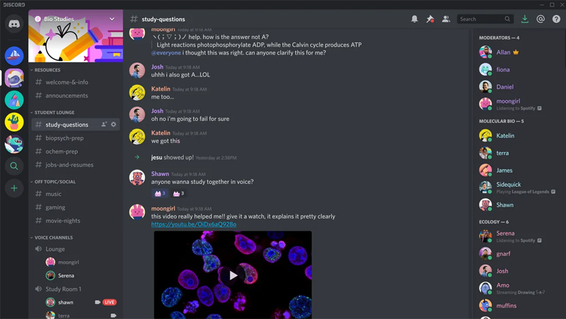 Discord-Chat