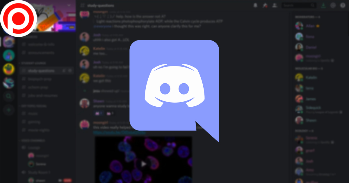 Discord-open
