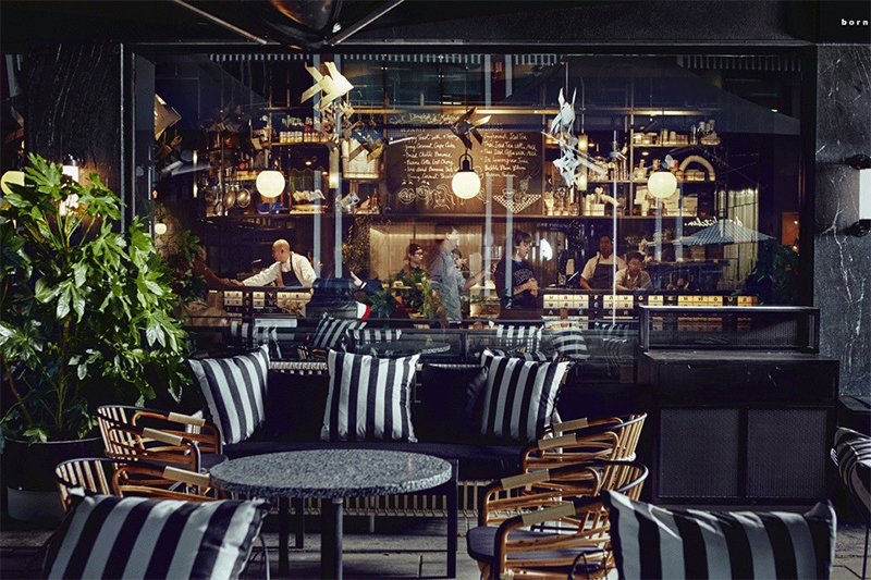 Greyhound-Cafe-UK