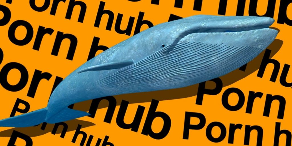 pornhub-Cares-Save-the-Whales-1024x512