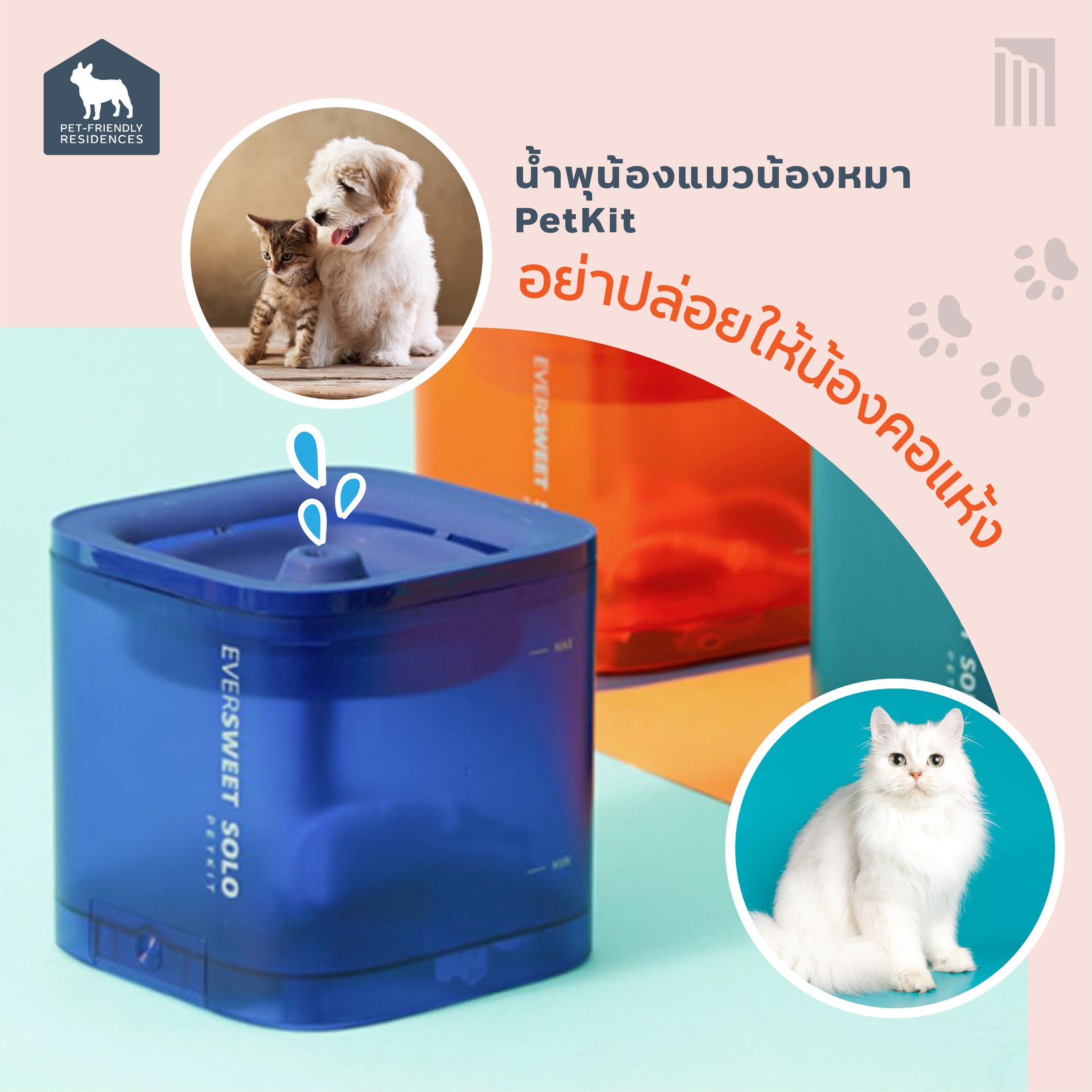 Major-Pet-friendly-Mkt