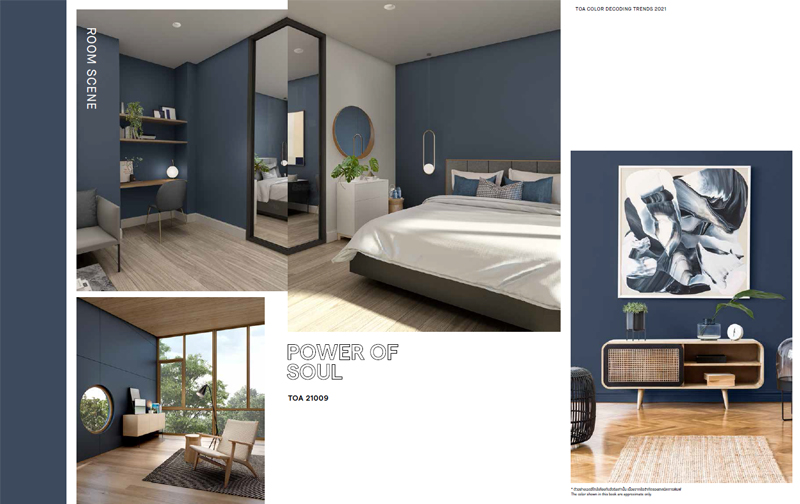 TOA-สีทาบ้าน-2021-Power-of-Soul