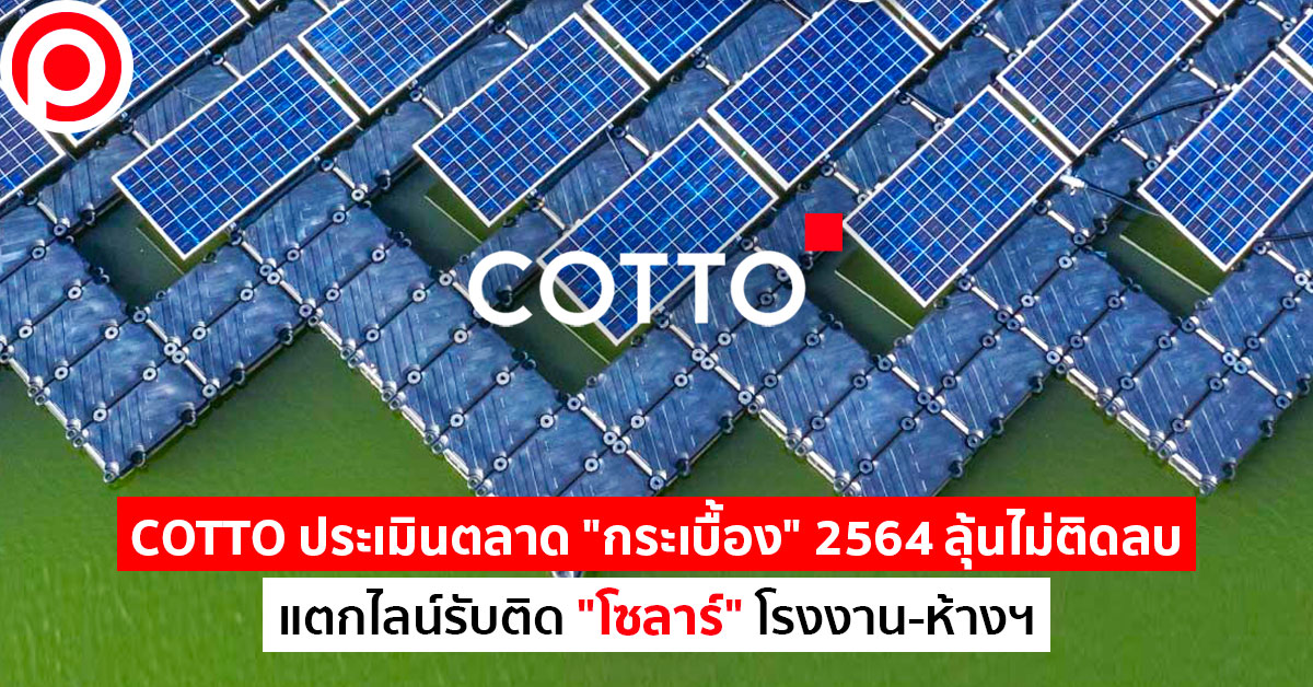 cotto2564