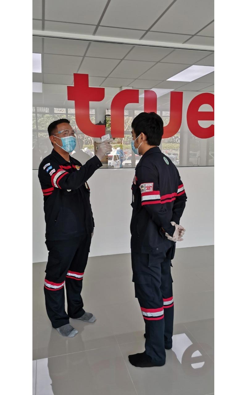 t6