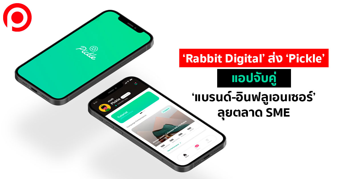 RabbitDigitalPickle