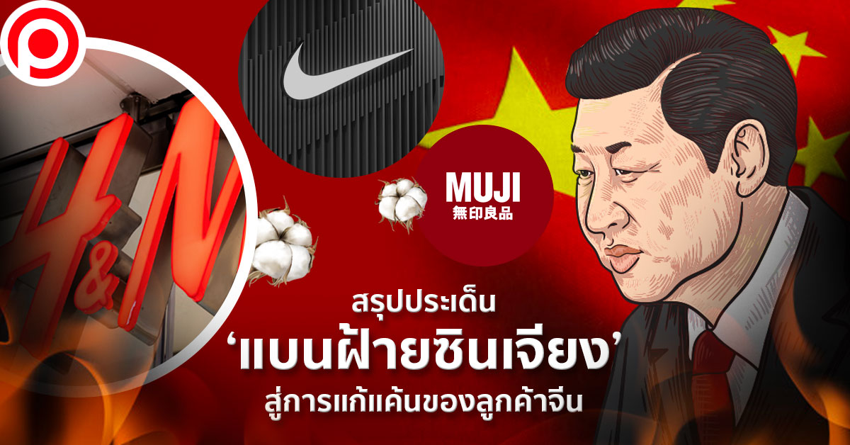 แบนฝ้ายซินเจียง_new