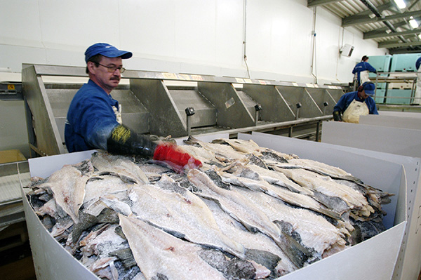 Norwegian-Aquaculture-2