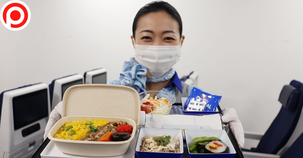 all nippon airlines ana