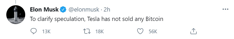 อีลอน-elon