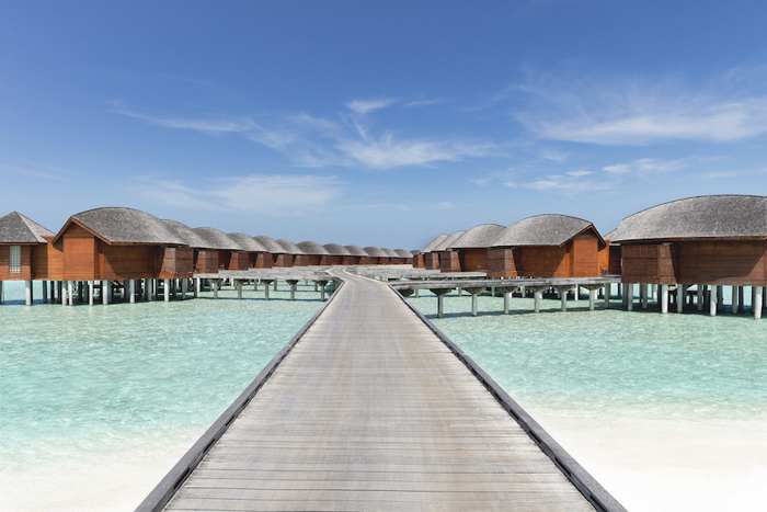 Dhigu