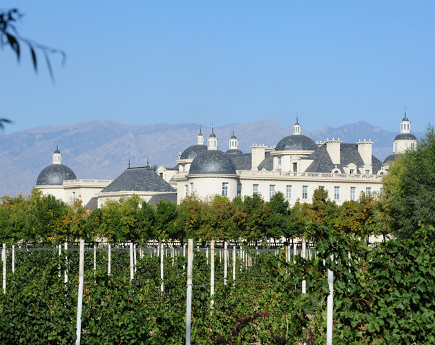 Ningxia-Changyu-Wine