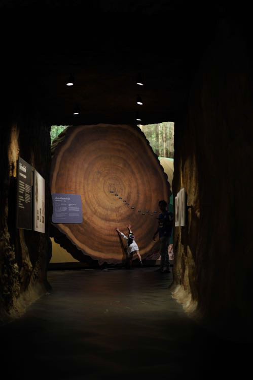 Rama-9-Museum