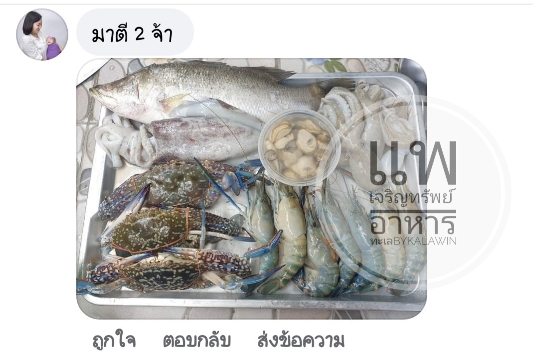 แพเจริญทรัพย์ กล่องสุ่มอาหารทะเล
