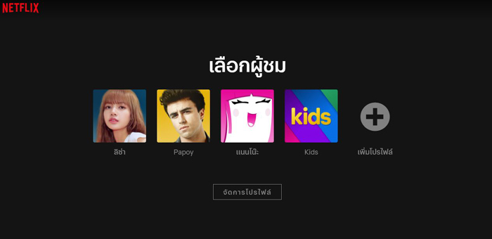 4-แยกโปรไฟล์