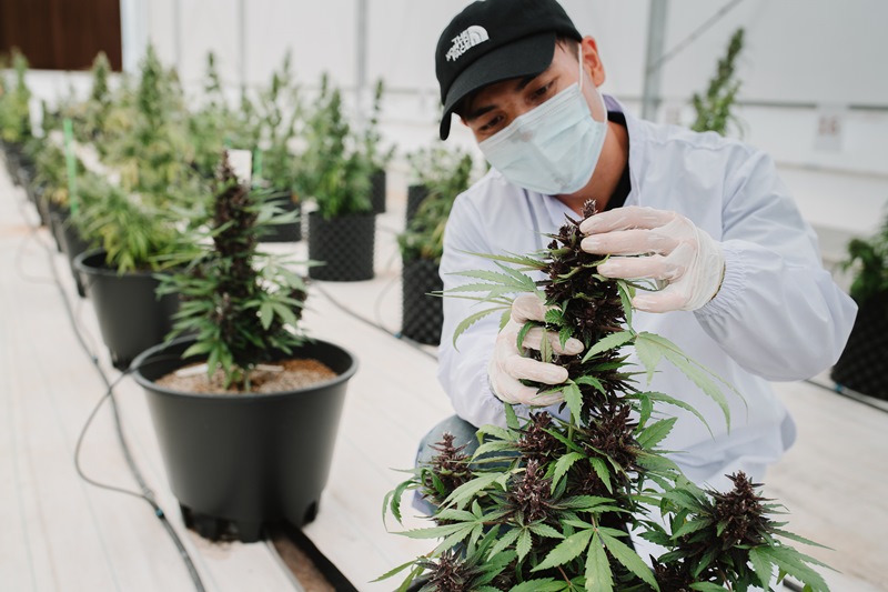 ESG_Hemp Lab