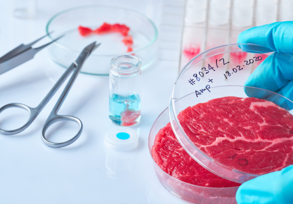 cell-base-meat