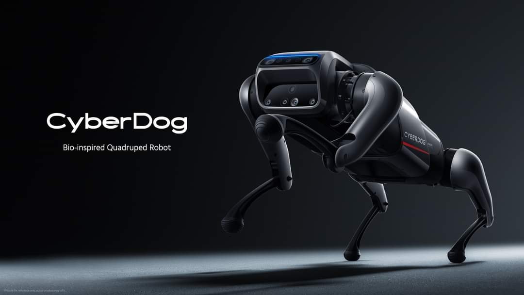 cyber-dog