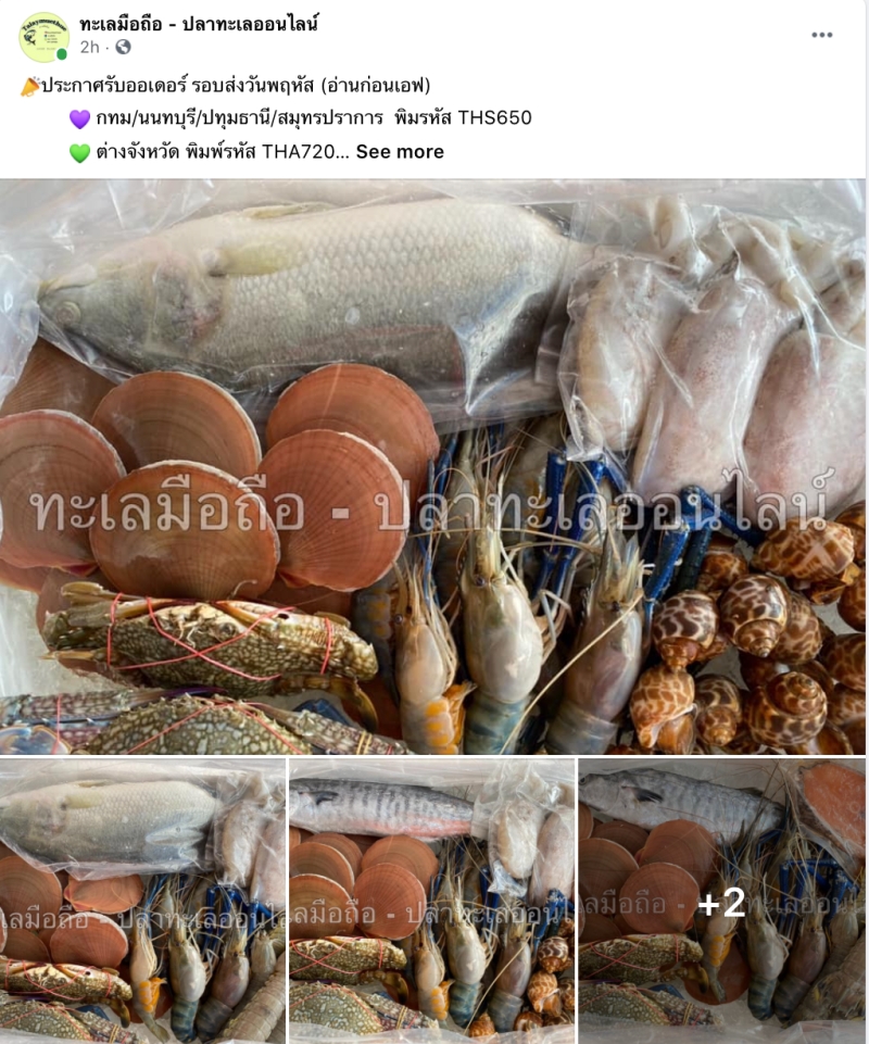 seafood