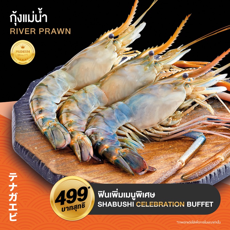 02_SHABUSHI-CELEBRATION-BUFFET_