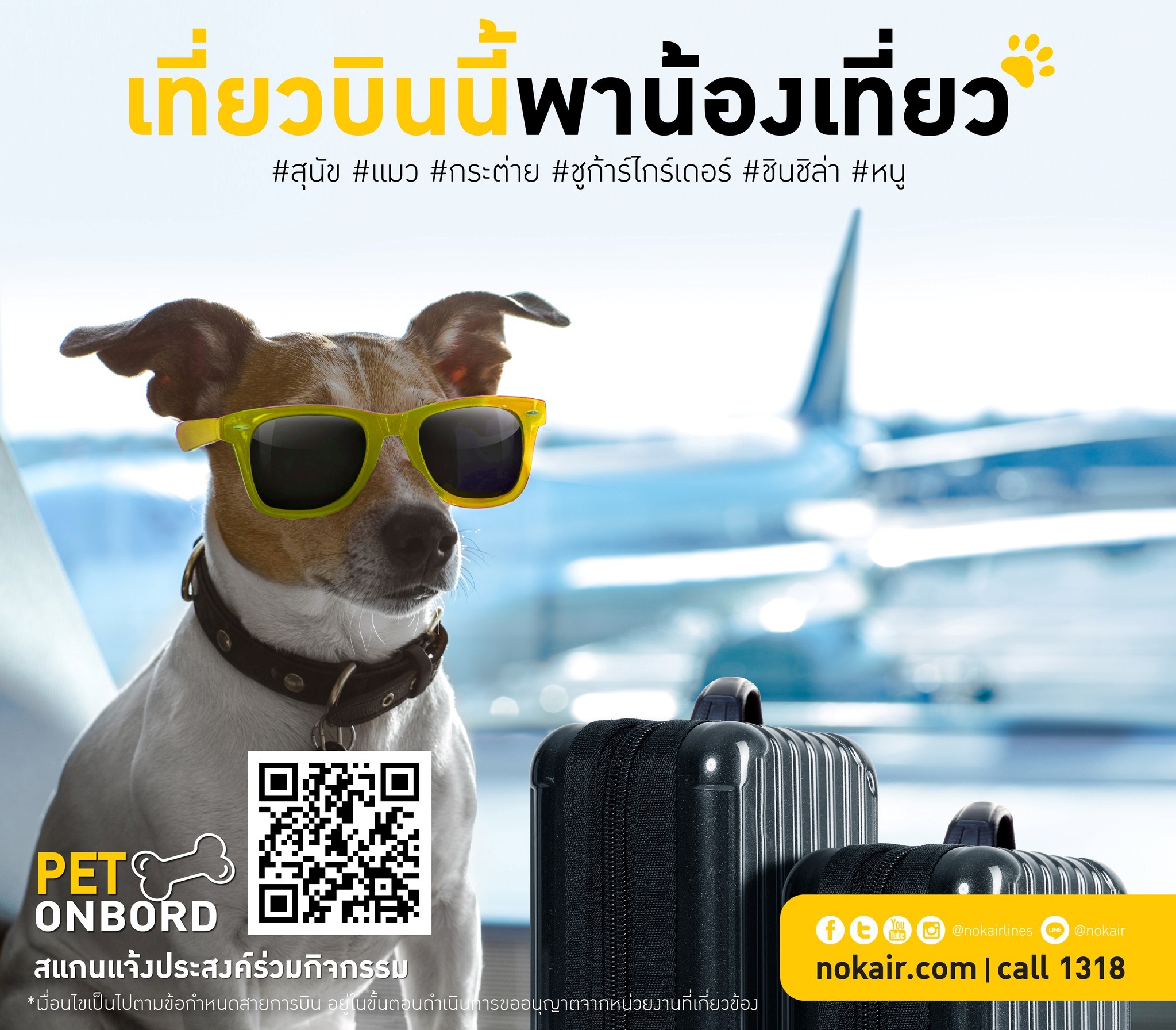 pet-on-board
