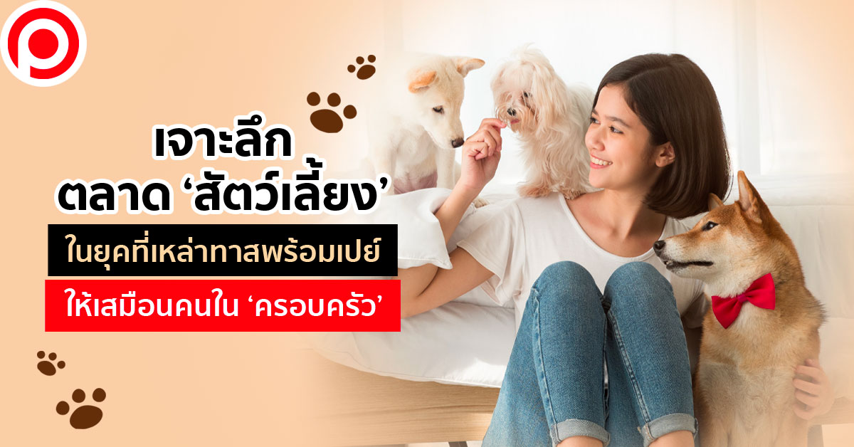 pet_new