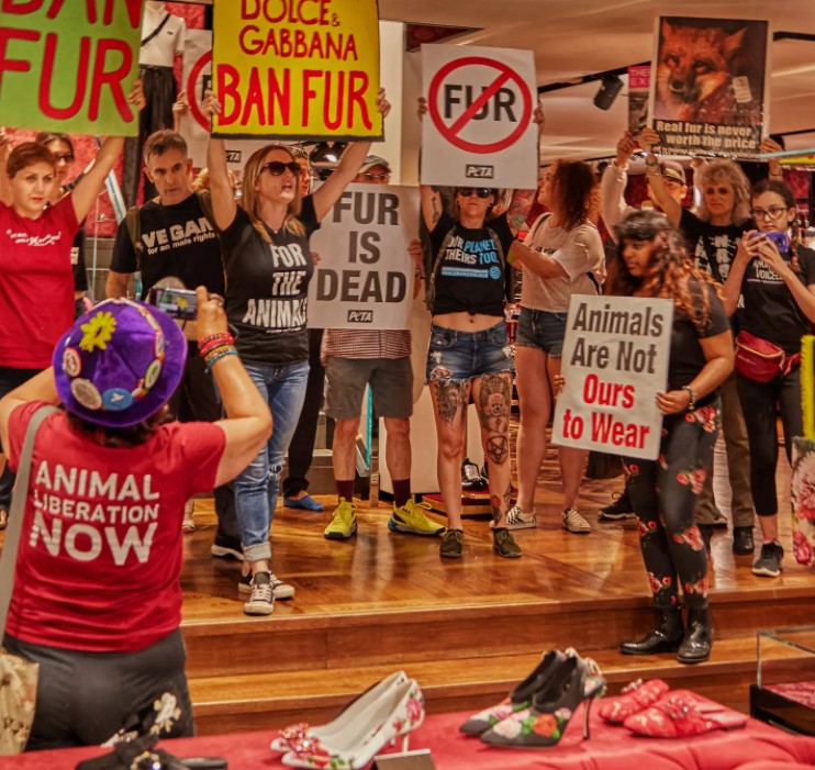 Dolce-Gabbana-protest-fur