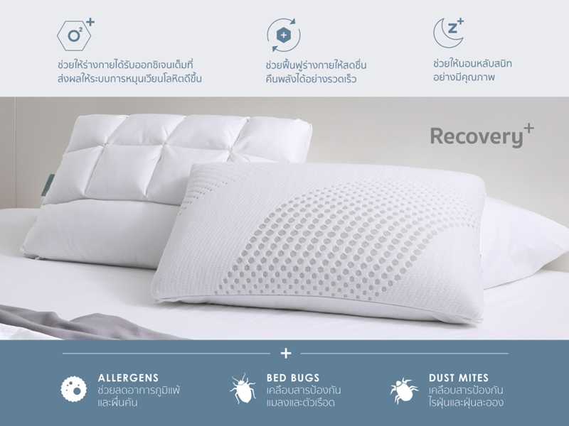 Dreamia_info2