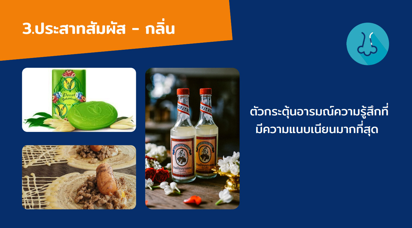 24.-ประสาทสัมผัส-กลิ่น-
