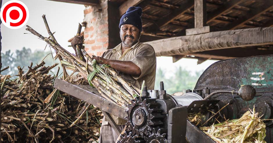 india sugar