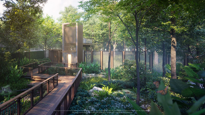 Lift-to-forest-view