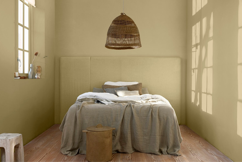 Dulux สีแห่งปี 2023