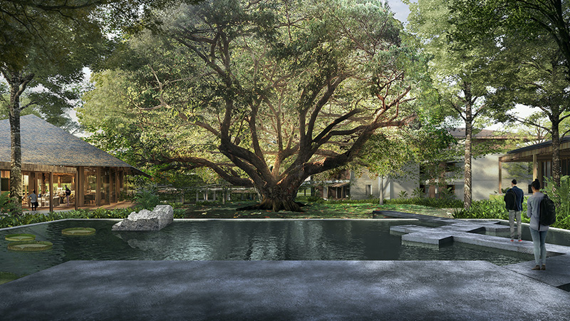 Andaz-03