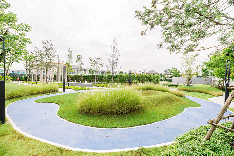 PYVE-GreenArea