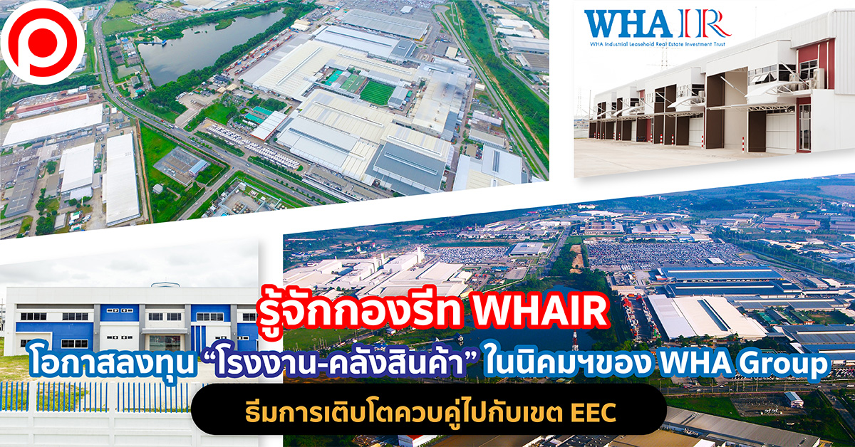 WHA11