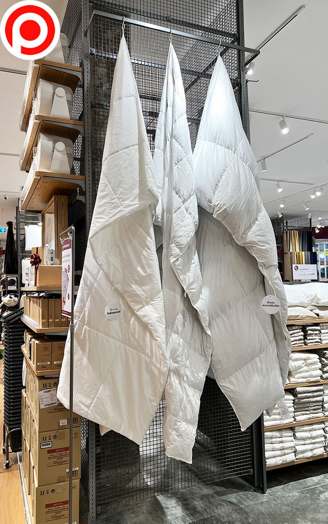 Muji-06