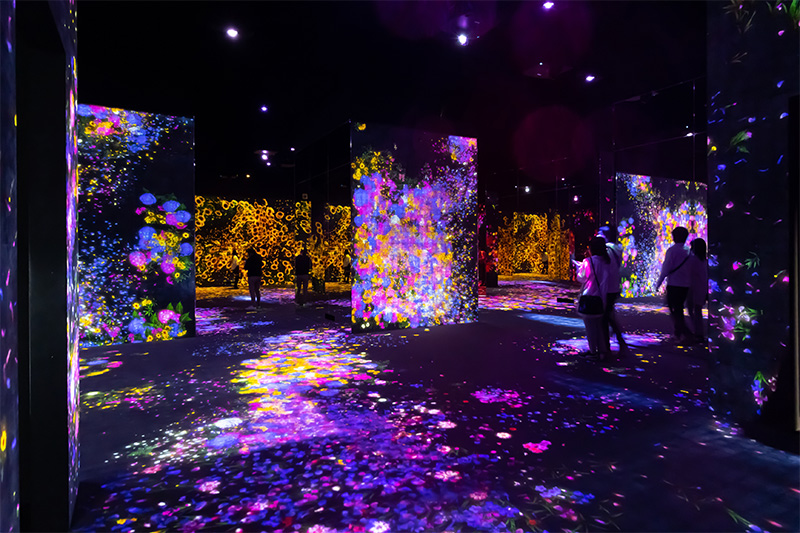 TeamLab-Borderless-Japan