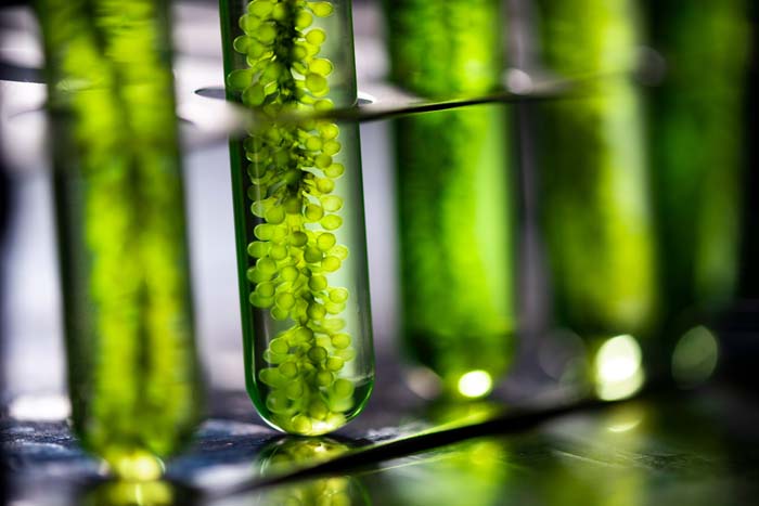 green-sciences