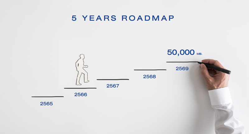 5-yrs-roadmap-LPN