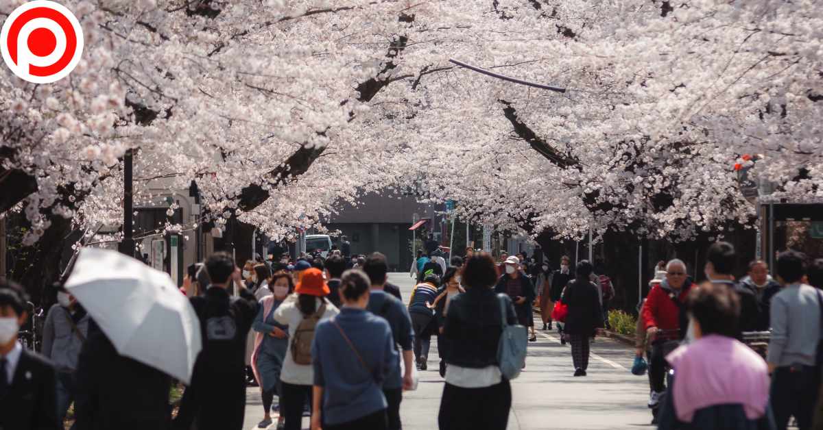 โตเกียว ญี่ปุ่น Tokyo Japan
