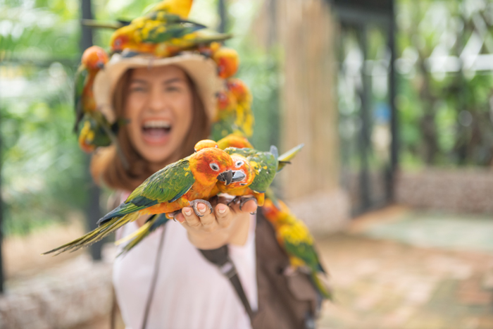Asian beautiful woman enjoying with love bird on hand and body,