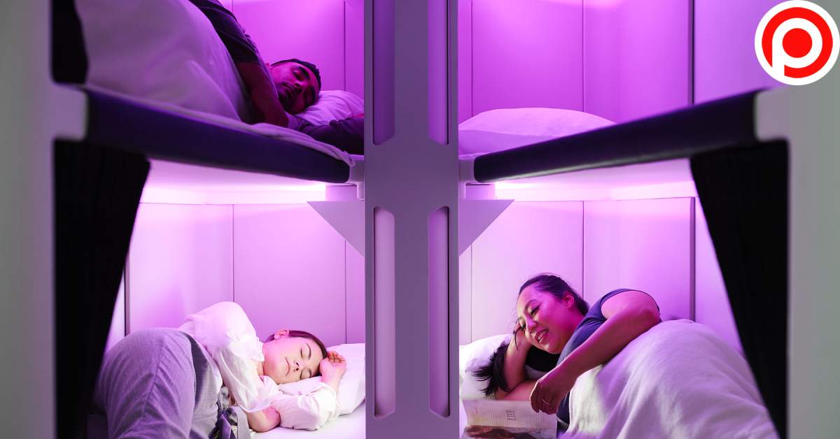 Air New Zealand Skynest