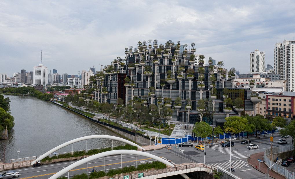 Tian-An-1000-Trees