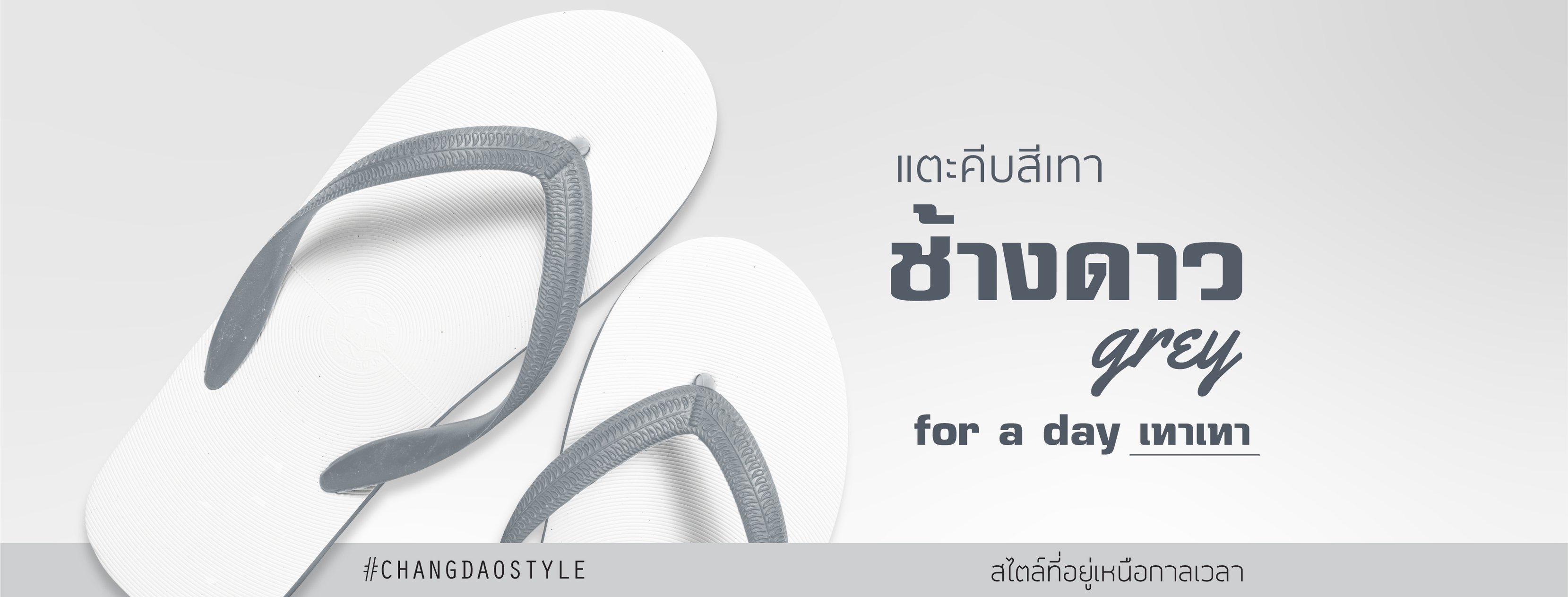 ช้างดาว