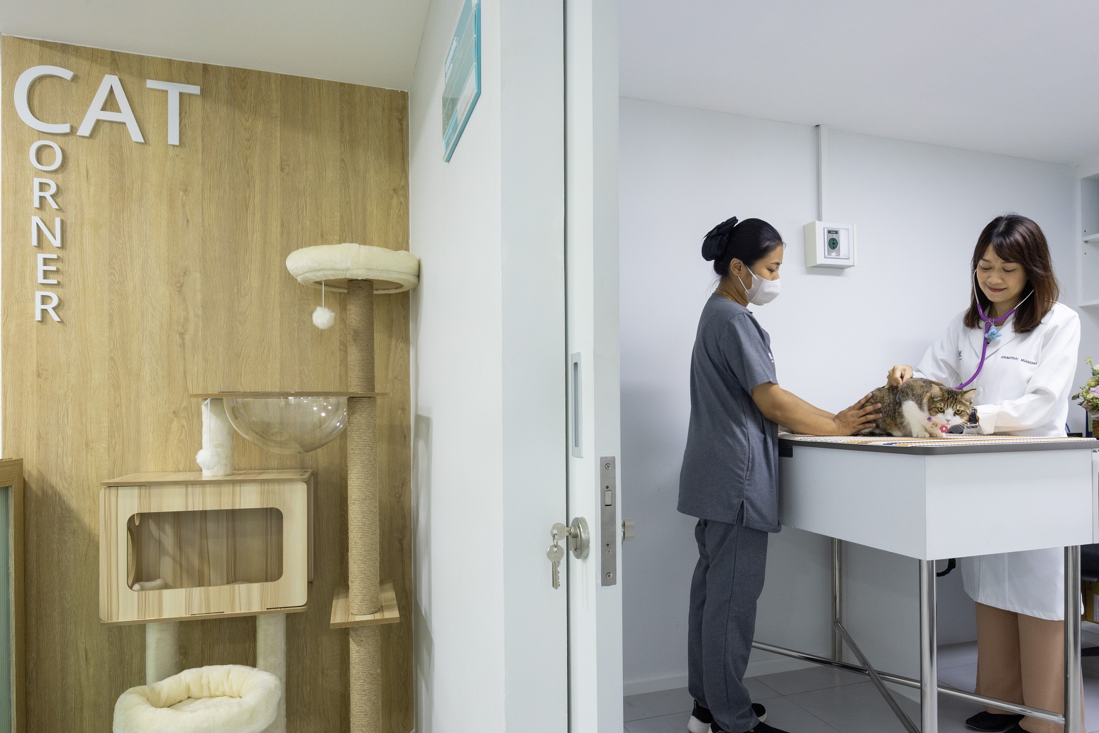Arak-Animal-Hospital-ห้องตรวจแมว