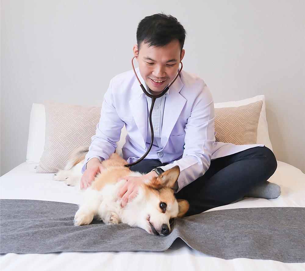 Thonglor-Pet-Hospital-03